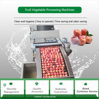 Abrikozen Kokos Fruit Groentegewicht Sorteren Kalibratiemachine