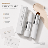 Stock disponible – Nouveau stick de fond de teint personnalisable à changement de couleur avec pinceau – Prix de gros, approvisionnement en vrac, marque privée – Base de maquillage en stick
