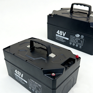 OEM/ODM <b>48V</b> 30Ah <b>Battery</b> Pack for Vehicles (Factory Supply) - Product Image 1