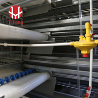 Système de cages à batterie de type H avec alimentation et abreuvement automatiques, collecte des œufs, convoyeur à fumier, cages pour poules pondeuses, pour ferme avicole
