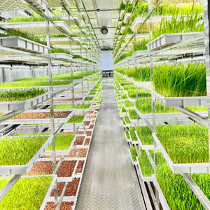 Système de drainage efficace pour la culture hydroponique de 500 à 1500 kg de graines de gazon frais, d'orge, de fourrage, de blé, de <span class=keywords><strong>seigle</strong></span>, de sorgho, d'alfalfa, machine de germination de graines, conteneur - Product Image 1