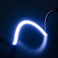 PERFECT dream colour led neon strip light ip65 15w dc24v lampe flexible led strip light extérieur étanche flex 24v led néon