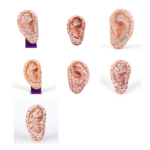 Modelo de Puntos de Acupuntura del Oído de 40 cm, Grabado en Alta Definición, para Enseñanza de Masaje, Zonas de Reflejo del Oído Humano - Product Image 1