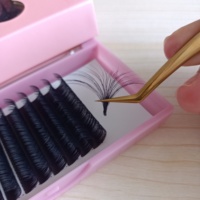 J B C CC D DD L LC LD M Curl Easy Fan Extension de Cils Doux 0.05mm Cachemire Logo Personnalisé Extensions de Cils