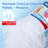 Déshumidificateur en seau de chlorure de calcium OEM/ODM personnalisé, anti-fuite, anti-moisissure, pour placard, vente en gros