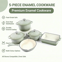 Ensemble de 5 casseroles en fonte, résistantes au four, avec poêle à frire, compatible induction et gaz, pour cuisine domestique