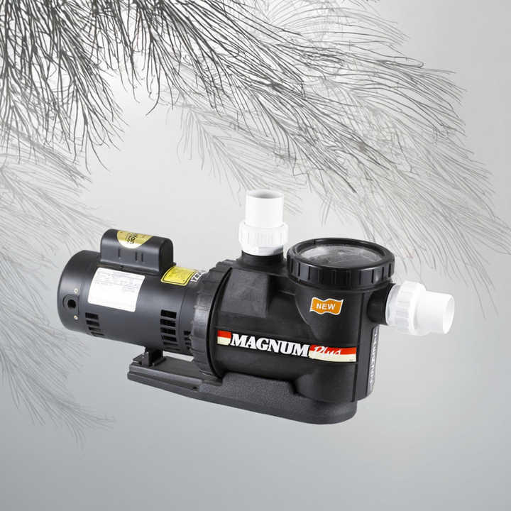 220V 1.0HP Single Speed Water Motor Pool Pump High Flow with ...