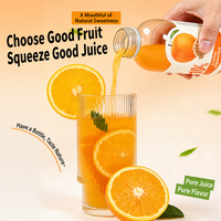 Lotlong Factory Direct Zoete Lekkere Commerciële Fruitdrank Natuurlijk Sinaasappelsap voor Supermarkt Detailhandel