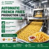 Ligne de production industrielle automatique de frites avec plus de 30 ans d'expérience professionnelle