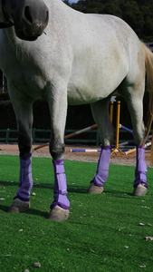 รองเท้าบูทขี่ม้าขี่ม้าแบบกําหนดเอง รองเท้าบูทขี่ม้า รองเท้าบูทขาม้าดีไซน์ใหม่ล่าสุด - Product Image 2