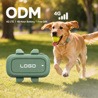Traceur GPS 4G IP67 étanche pour animaux de compagnie, localisateur sans fil anti-perte pour chiens et chats, avec fonction Beidou, autonomie de 48 heures, alarme de clôture et suivi en temps réel