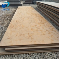 Lit de jardin surélevé en acier corten à panneau