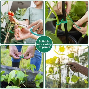 Attaches de plantes réglables, attaches flexibles pour plantes de jardin, clip de tige vert pour <span class=keywords><strong>support</strong></span> d'escalade d'arbres de jardin, vigne, tomate - Product Image 5