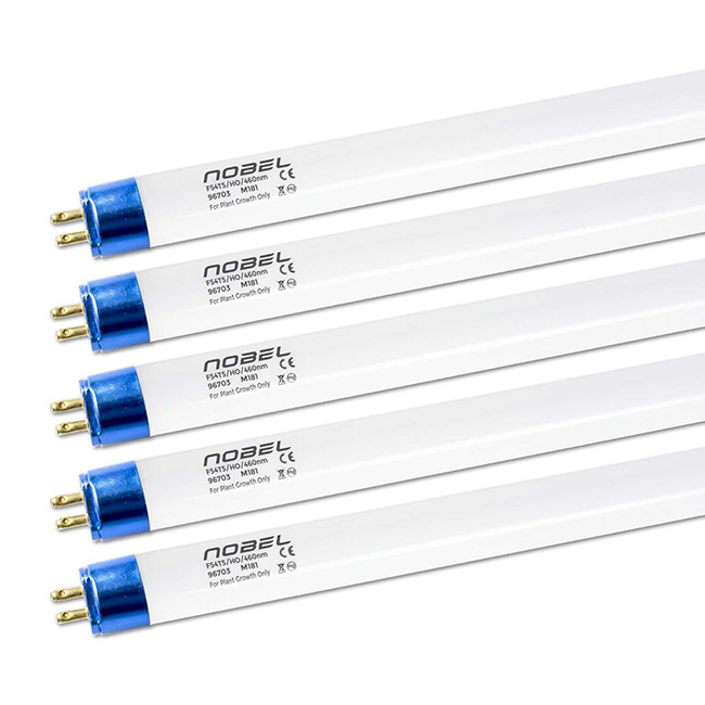 2024 T5 22w Circular Fluorescent Lamp