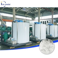 Máquina de Hielo en Escamas para Procesamiento de Pescado con Producción Automática de Hielo en Acero Inoxidable