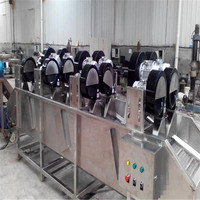 Machine polyvalente de nettoyage de légumes à bulles à haut rendement et laveuse de fruits pour usage industriel