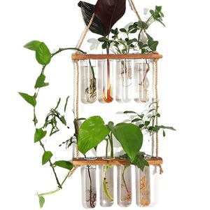 Seeking Excellence Wall Hanging Hydroponic Plant Container Wooden Rack With Glass Test Tubes <b>For</b> Indoor Green <b>Decor</b> - Product Image 3