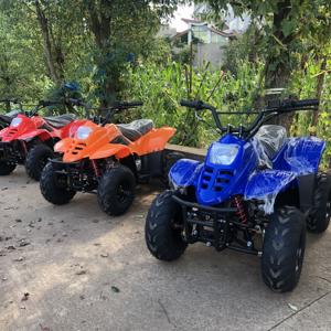 <span class=keywords><strong>Quad</strong></span> ATV de course agricole 4x4 110cc, modèle 2025, neuf, fabriqué en Chine, pour enfants et adultes, transmission automatique, 4 roues motrices - Product Image 2