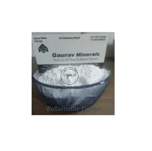 Best Selling Indian Supplier Ceramic Powder Wollastonite Powder Used to Produce Ceramic Insulators Glaze Thermoplastics
