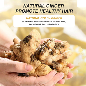 Private Label <strong>Wholesale</strong> Anti Hair Loss Organic Plant Extract Ginger Hair Shampoo and Conditioner Set for Hair - Product Image 3