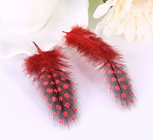 <span class=keywords><strong>Venta</strong></span> al por mayor teñido <span class=keywords><strong>Guinea</strong></span> pluma Natural barato <span class=keywords><strong>Guinea</strong></span> plumas para la <span class=keywords><strong>venta</strong></span> - Product Image 6