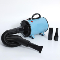 Nouveau Sèche-cheveux portable pour animaux à moteur unique, haute puissance, silencieux, pour chats et chiens, avec outils de toilettage de grande taille en cuivre et plastique