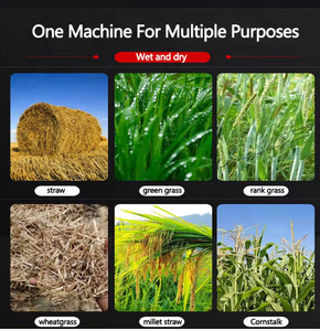 Machine à couper l'ensilage et la paille, alimentation directe usine, 220 V, pour volailles, bovins et chevaux, broyeur d'aliments pour animaux, faucheuse de maïs et de paille - Product Image 6