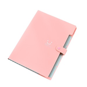 Organizador de documentos de acordeón con cierre a presión, papel A4, carpeta de archivos expansible, bolsillos, Material PP - Product Image 1