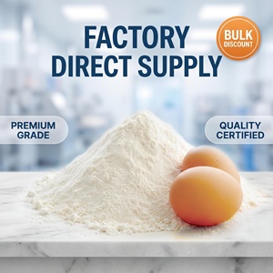 Poudre de protéines de blanc d'œuf pasteurisée de qualité alimentaire en vrac pour marque privée, OEM, vente en gros, pâtisserie, confiserie, nutrition sportive - Product Image 2
