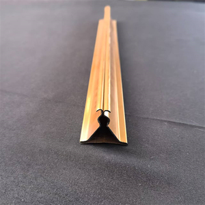 Chine Finition galvanisée à chaud Triceratops Squelette 2025 <span class=keywords><strong>Quille</strong></span> triangulaire <span class=keywords><strong>de</strong></span> conception moderne pour panneau <span class=keywords><strong>de</strong></span> plafond en aluminium - Product Image 3