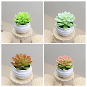 Macetas de Suculentas Artificiales de Plástico en Oferta, Decoración Linda para Centros de Mesa de Escritorio, Plantas Suculentas Artificiales - Product Image 3