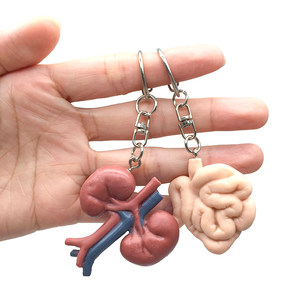 Modèle d'organes internes simulés : Cœur, Foie, Rate, <span class=keywords><strong>Poumon</strong></span> et Rein – Modèle anatomique cardiaque pédagogique avec pendentif porte-clés - Product Image 3