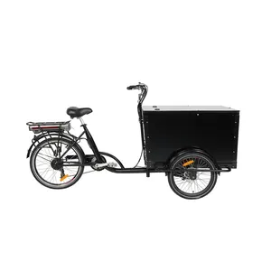 Один kuake OEM Китай 500w электро грузовой велосипед Байк, способный преодолевать Броды грузовой электротрицикл