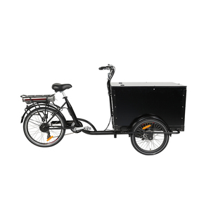 Bicicleta Eléctrica Familiar Tipo Velomóvil, Triciclo Eléctrico de Cola Larga, 48v250w con Sensor de Torque - Product Image 1