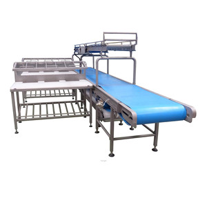 Commerciale Progetto di macellazione Halal Bestiame e di Agnello Macellazione Attrezzature per Linea di Taglio di <span class=keywords><strong>Carne</strong></span> Officina con Igiene - Product Image 1