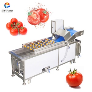 เครื่องล้างมะเขือเทศแบบฟองอากาศ 1000-1400 กก./ชม. เครื่องล้างมะเขือเทศแบบฟองอากาศแรงสูง - Product Image 1