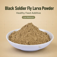 Vente directe usine – Poudre de larves de mouches soldat noires dégraissées, 58 % de protéines, additifs alimentaires de qualité supérieure pour poissons, porcs, bovins, reptiles