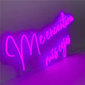 ไฟนีออน LED ซิลิโคน ดีไซน์ใหม่ ปี 2025 มาตรฐานกันน้ำ IP65 สำหรับภายนอกอาคาร ปรับแต่งขนาดและสีได้ ป้ายประตู ค่า CRI สูง 90 - Product Image 5