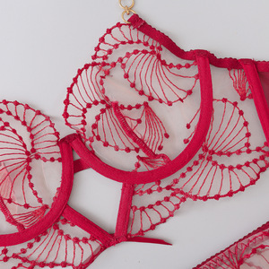Nuovo Stile 2026: Set Reggiseno Sexy con Ricamo Trasparente, Lingerie in Pizzo, Set Tre Pezzi, Bikini Senza Cuciture e Senza Ferretto, Logo in Vita - Product Image 4