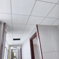 Dalles de plafond en fibre de verre 2x4 pi noires, insonorisantes, ignifuges classe A pour grille de plafond d'hôtel et de centre commercial