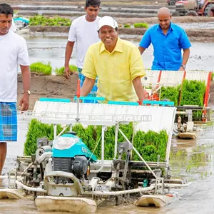 Fábrica atacado china arroz transplanter kubota usado arroz transplanter arroz transplanter máquina no japão