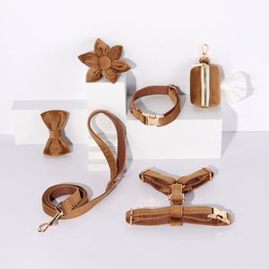 Op Maat Gemaakt Logo Van Hoge Kwaliteit Duurzaam Nylon En Zacht Fluwelen Hondenharnas Set Gouden Metalen Gesp Hondenriem Harnas Set - Product Image 6