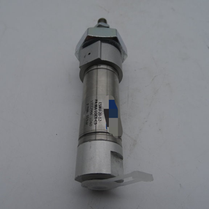 Plc Esnu-20-12-pa-wbrma-<strong>loct</strong>-cs Pneumatic Cylinder Warranty Product - Product Image 1