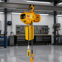 Palans électriques à chaîne neufs d'usine, haute efficacité, capacité de charge de 1 tonne, hauteur de levage de 3 m, palan de levage HHBB