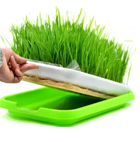 Kit de germination de micro-légumes sans terre avec couvercle, pour la culture de l'herbe de blé, plateau de germination pour pépinière et jardin