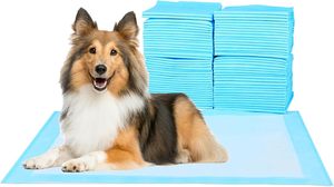 Oferta Especial: Empapadores Impermeables para Cachorros 60x60 y 60x90, Tapetes Absorbentes Desechables de Secado Rápido para Perros, Venta al por Mayor de Empapadores para Mascotas - Product Image 3