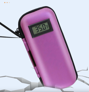 Petite boîte de rangement portable pour médicaments avec affichage numérique de la température, étui isotherme pour insuline, coque rigide en EVA avec blocs réfrigérants - Product Image 6