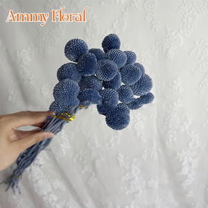 AM-PFKC06 Ammy Fleurs Éternelles Billy Buttons en Bouquet avec 20 Tiges pour Décorations de Mariage, Maison, Bureau et Fêtes - Product Image 3