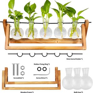 Desktop Air fioriera lampadina vaso di vetro pianta propagazione terrario casa giardino classico - Product Image 1