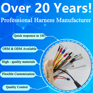 Produttore di Attrezzature SHANWEI, Cavi JST Molex Te Sh GH Zh Ph XH SM Mx3.0 Vh3.96 2 4 6 8 Pin, Cablaggio Personalizzato, Jumper - Product Image 6